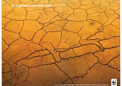 Ad of dry dessert landscape with lines on the soal showing an animal