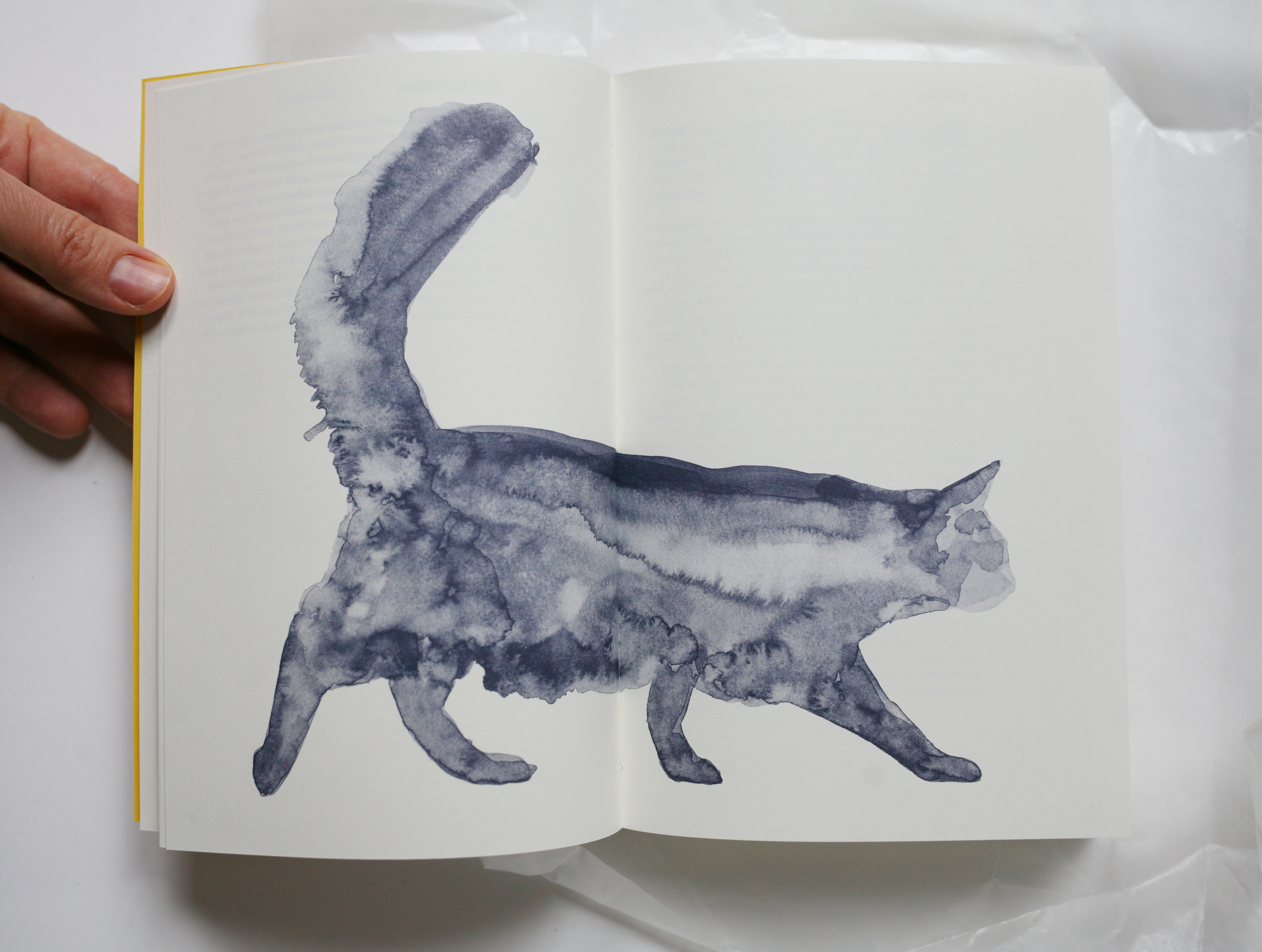 Swiss Cat Ladders Book with Watercolor Illustration of a Cat