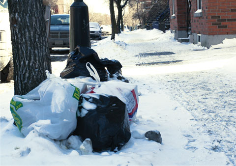 Black Garbage Bags on Rue Ontario E, Corner Rue Prefontaine on sidewalk