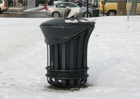 Content of Garbage Can in Parc Baldwin on Avenue du Mont-Royal E