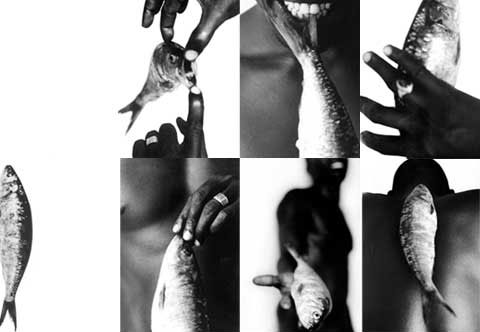 6 images of a black male and a fish which are part of the photography portrait project 'Senegal.Fish'
