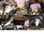 Images of a woman working in a fish market, from the project Senegal - Green - Fishmarket - Coiffeur