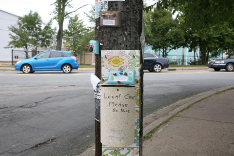 Local craft objects on poles in Halifax