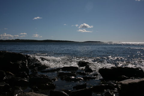 Ocean view in the heart of the city of Halifax