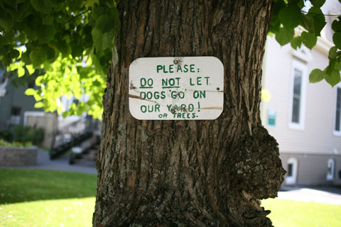 Hand-written not on a tree