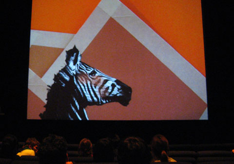 Grafika trailer featuring zebra