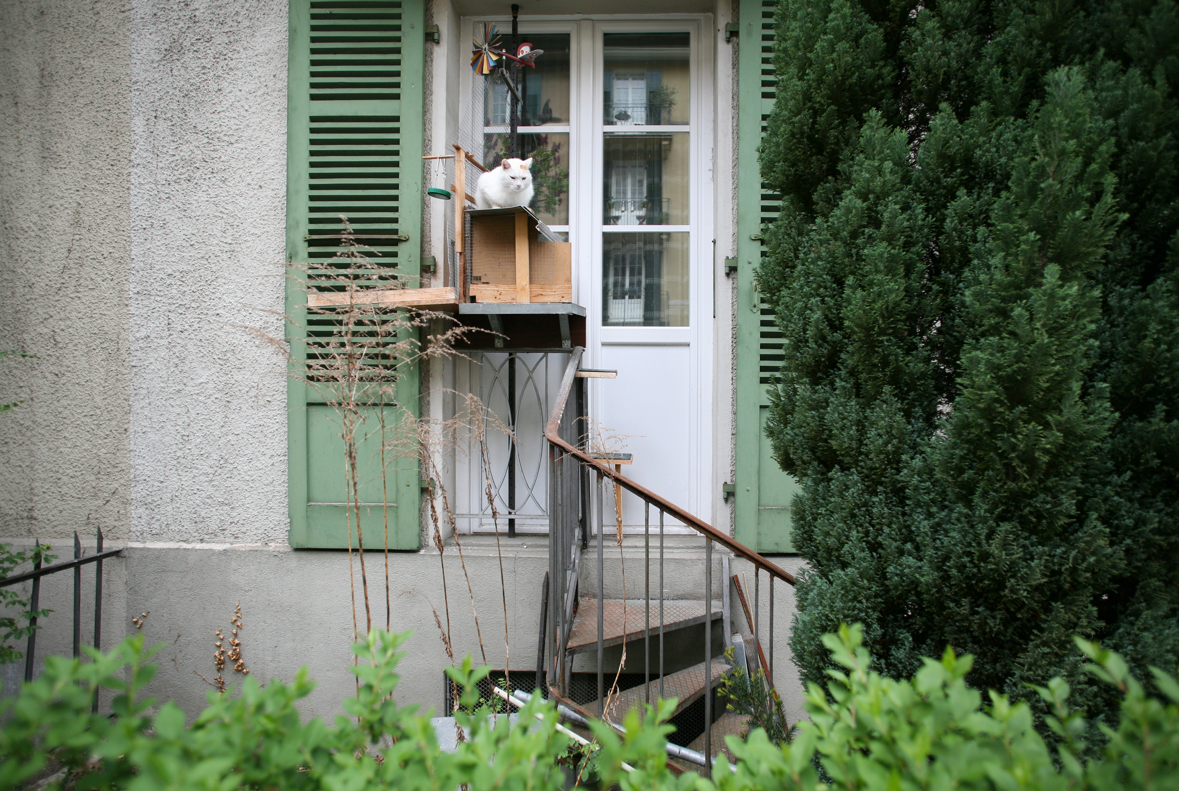 house entrance with wood construction and a cat sitting on it