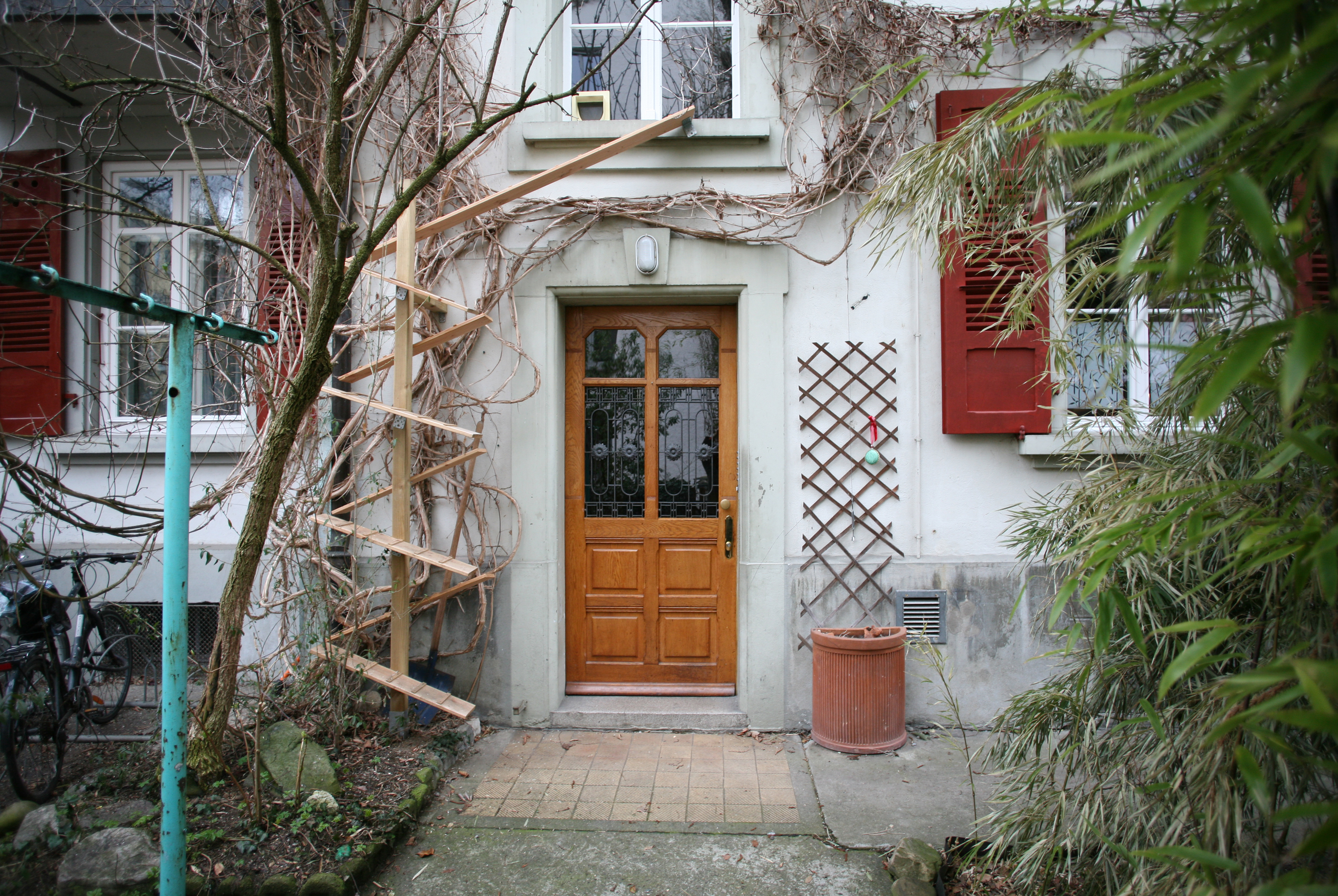 house entry with cat ladder and vine plantations