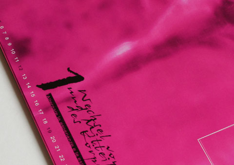 Month of January of the project Dancing=Existing showing a woman's legs on pink background
