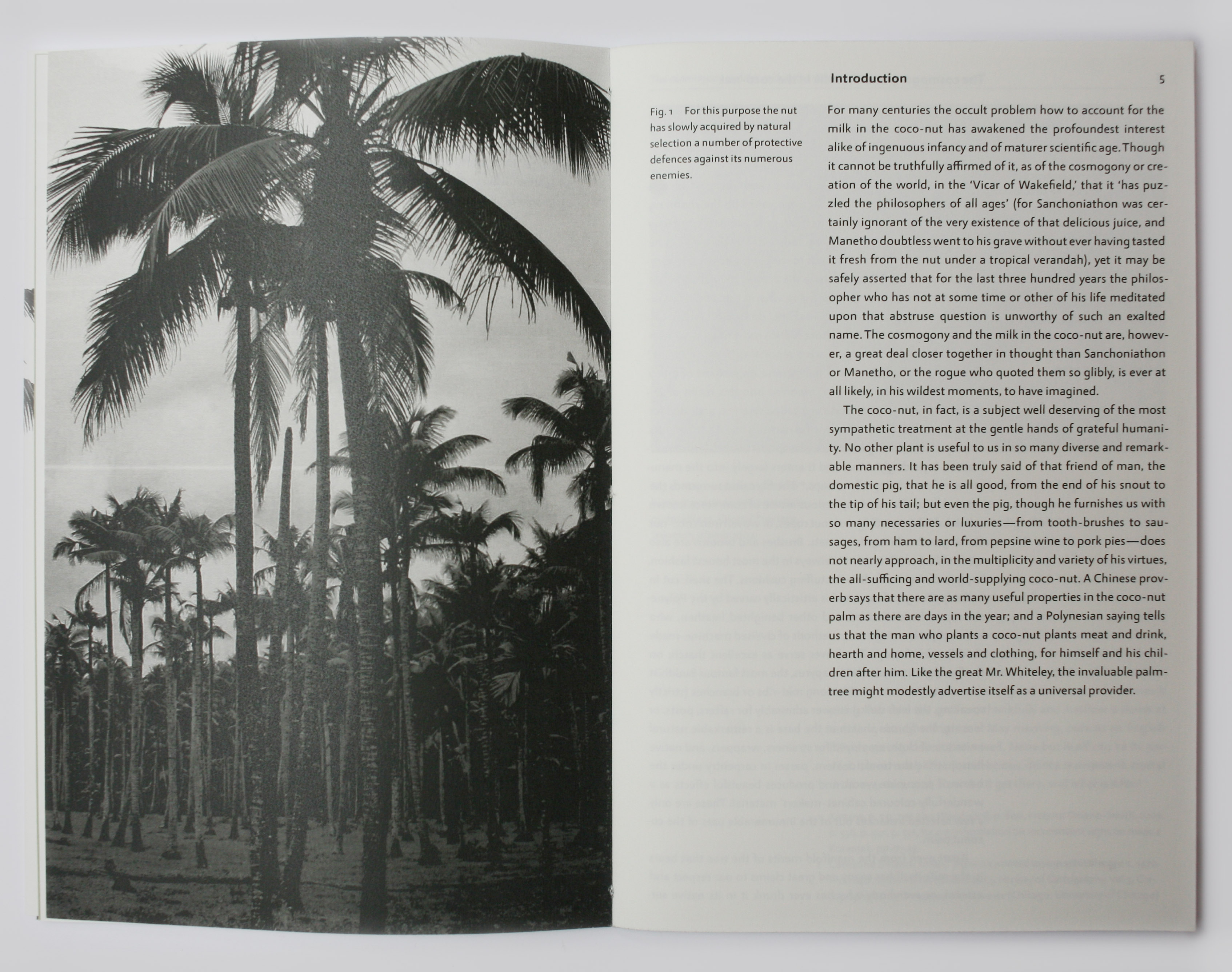 Spread in book with text and full-page photograph