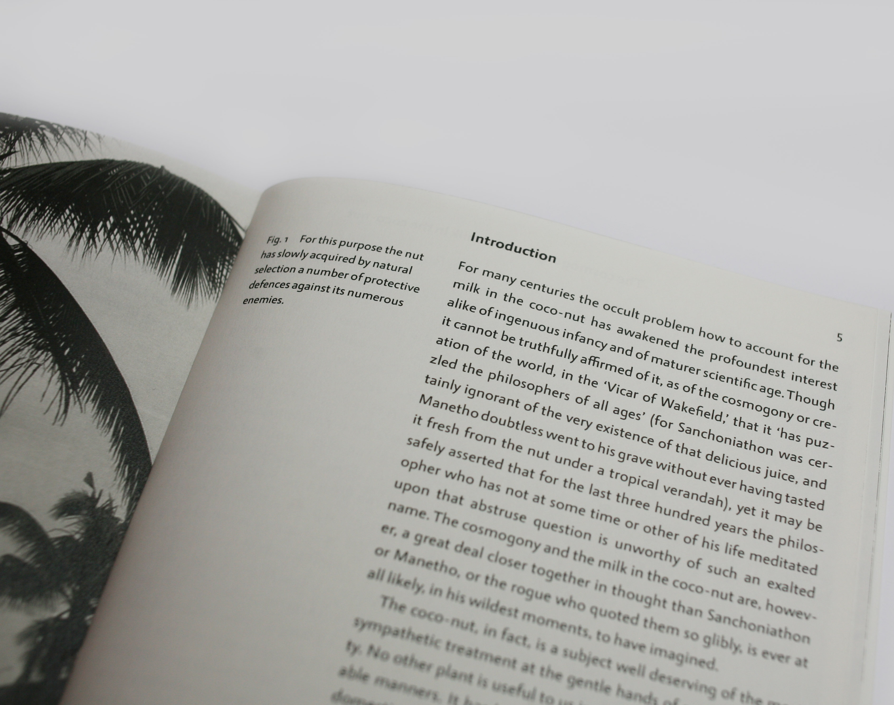 open spread of book containing text and an image with books