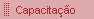 Capacita��o